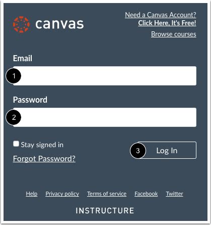 Log In to Canvas.